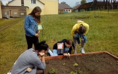 Uczniowie podczas zajęć. 